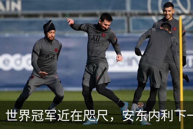 世界冠军近在咫尺，安东内利下一站只要拿到第9即可提前加冕