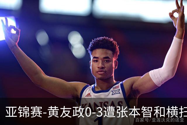 亚锦赛-黄友政0-3遭张本智和横扫 温瑞博向鹏李天阳进八强