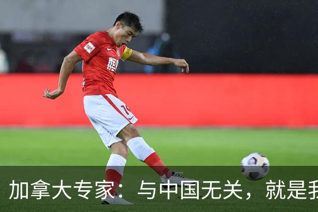 加拿大专家：与中国无关，就是我们干的