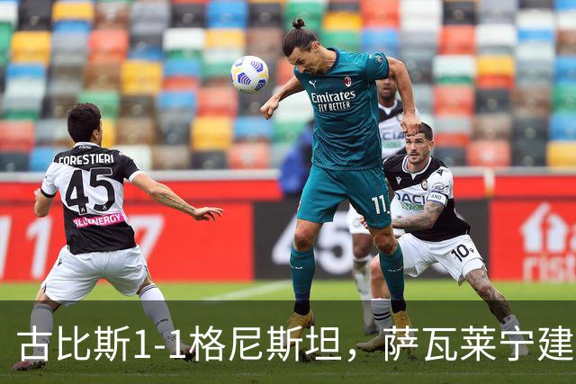 古比斯1-1格尼斯坦，萨瓦莱宁建功