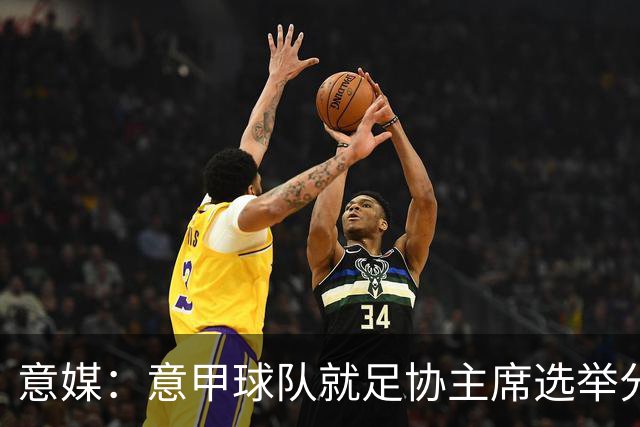 意媒：意甲球队就足协主席选举分为马拉戈、加利亚尼两个阵营