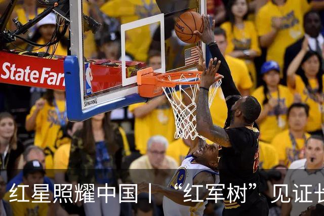 红星照耀中国丨“红军树”见证长征路
