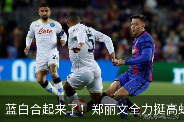 蓝白合起来了！郑丽文全力挺高虹安，国民党内部却各有各的盘算！
