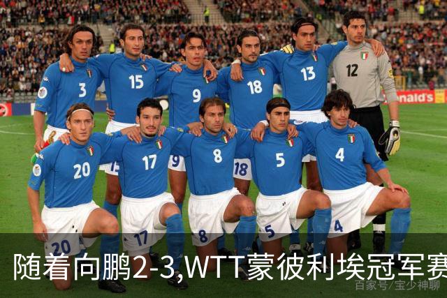 随着向鹏2-3,WTT蒙彼利埃冠军赛男单16强已出15席：仅3名国乒选手