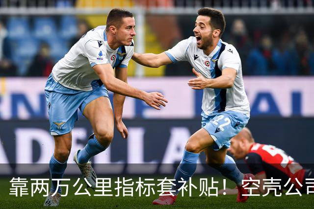 靠两万公里指标套补贴！空壳公司卷走三个亿，全甩给底层买单