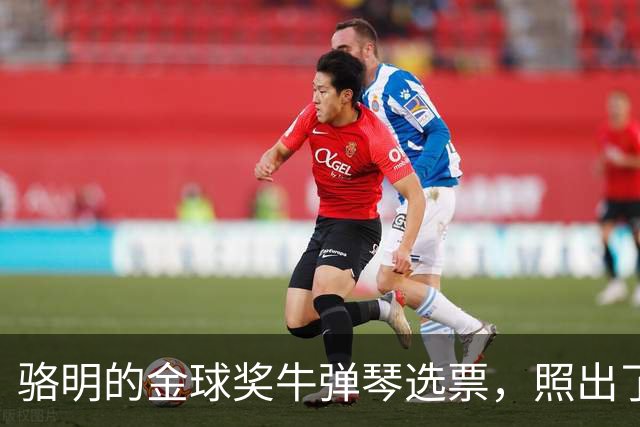 骆明的金球奖"牛弹琴"选票，照出了中国足球认知的底色