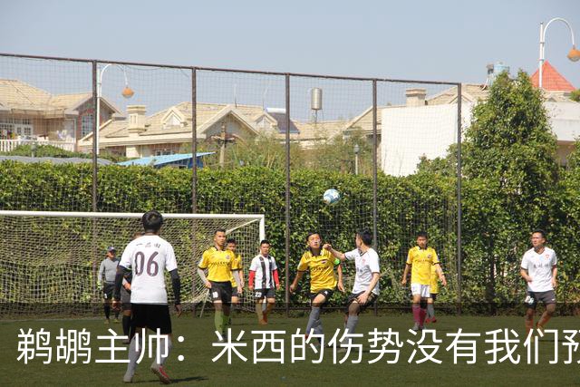 鹈鹕主帅：米西的伤势没有我们预想的那么严重