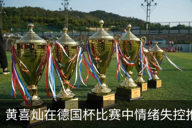 黄喜灿在德国杯比赛中情绪失控推搡第四官员，可能面临处罚