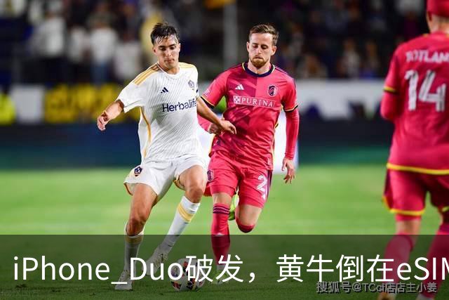 iPhone Duo破发，黄牛倒在eSIM